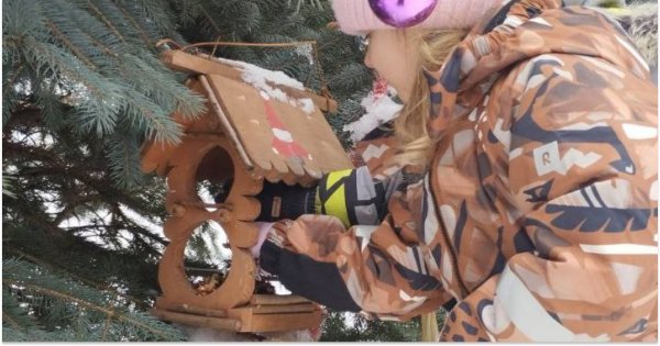 Як діти пташок годували